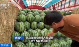 网红大瓜博雅吃瓜视频最全观看 社会热点的图片,揭秘网红大瓜视频，社会热点一网打尽